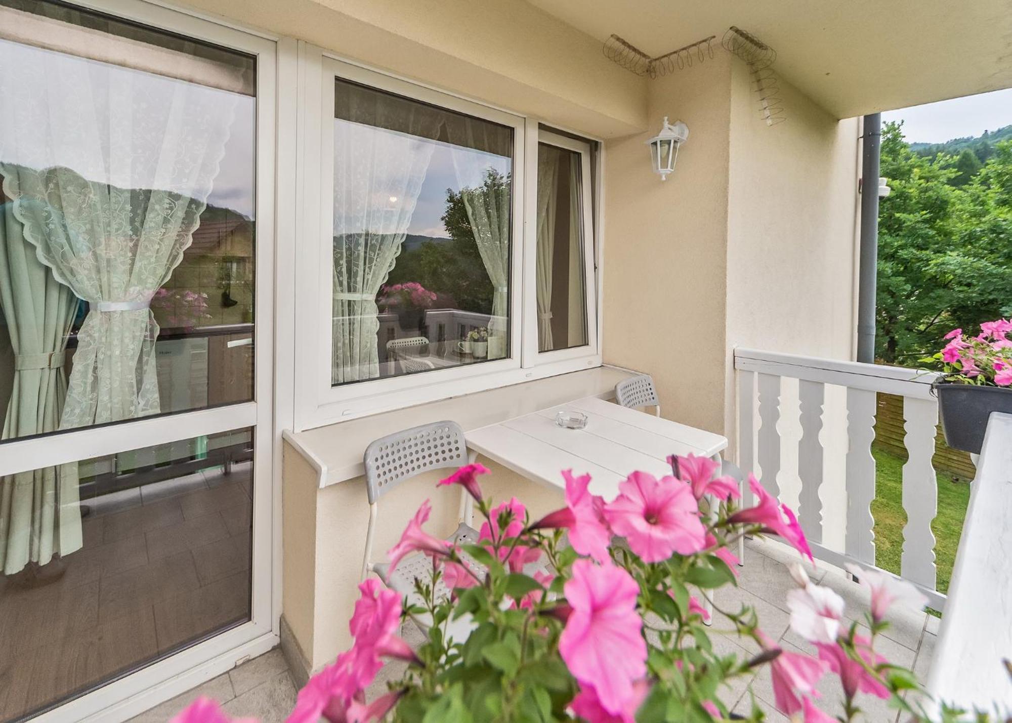 Willa Aleksandra - Apartamenty Miedzybrodzie Zywieckie Exterior foto